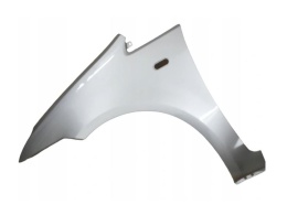 Ford C-max DM2 04-10r lewy błotnik szary D1